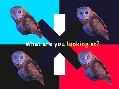 Art | Owl