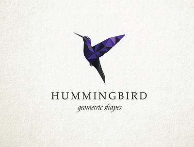 Hummingbird Geometric shape logo birds branding creative icon illustrator logo minimal unique logo