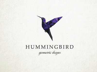 Hummingbird Geometric shape logo