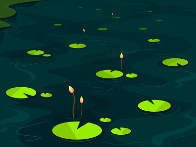 pond illustration illustrator pond vector