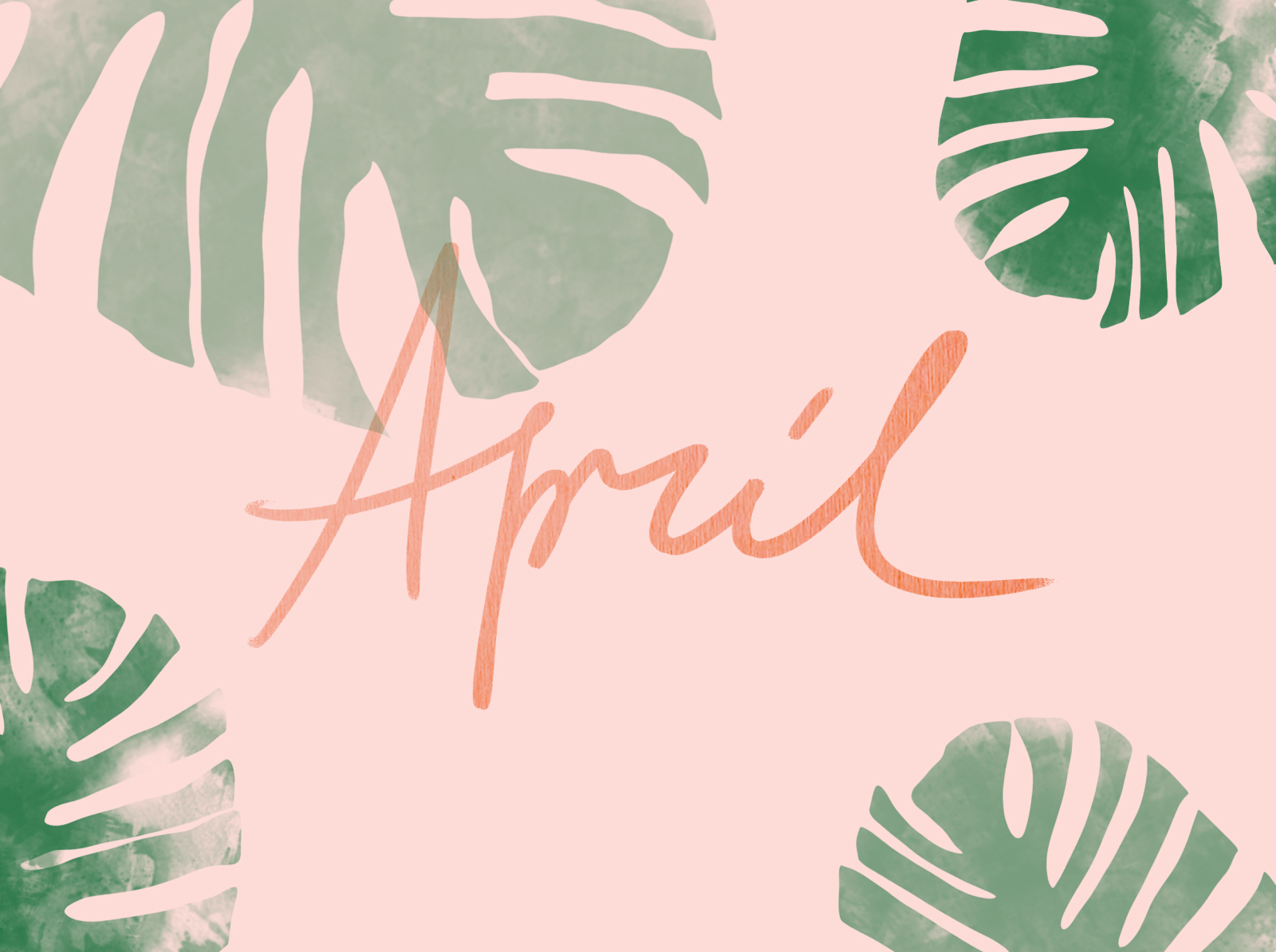 April by Tato Dvali on Dribbble