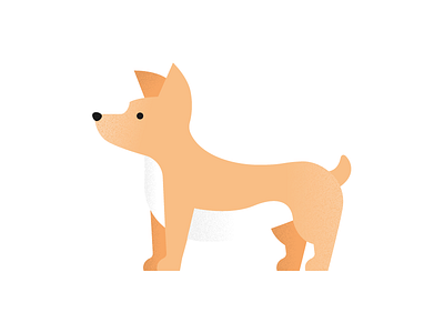 Lil Corgi corgi dog flat gradient illustration puppy smile vector