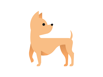 Lil Chihuahua chihuahua dog flat gradient illustration puppy smile vector