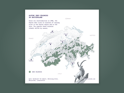Distribution of Ibex colonies in Switzerland alpine cartography data visualization design green ibex illustration map mapping svg type typeface vector