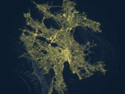 Visualising all public lighting in the city of Zurich cartography city d3 dark ui data visualization design geography lights map mapping maps svg vector