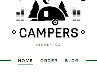 Twin Spruce Campers Website logo squarespace website