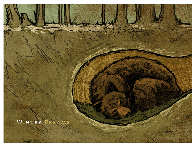 Winterdreams bear hibernate illustration sketch winter