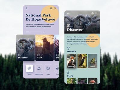 App design | National Park Hoge Veluwe mobile app mobile ui sketchapp ui ux web