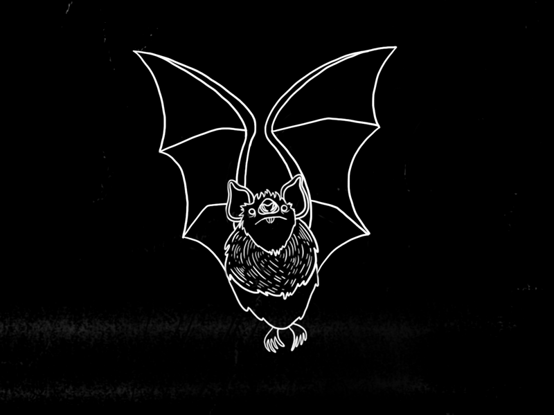 Bat bat flying gif