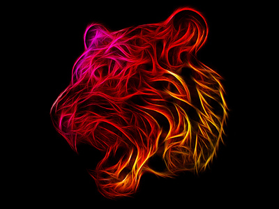 Abstract Tiger abstract face illustration