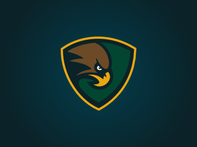 Hawksicle beak birds hawk shield sports