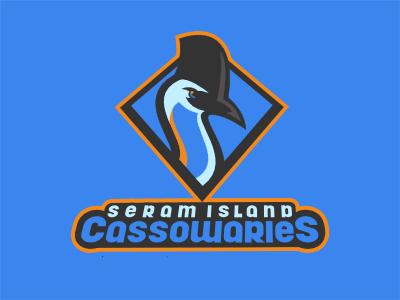 Cassowaries beak bird cassowary shield