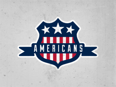 Rochester Americans ahl americans banner duke hockey rochester stars stripes