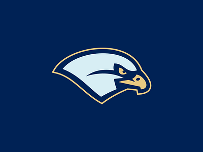 Bentley University Falcons / Day 8 / August Rebranding Project