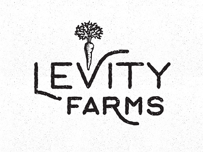 Levity2 barn design farms illustration levity logo