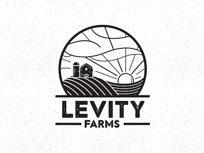 Levity3 barn design farms illustration levity logo