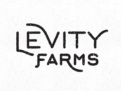 Levity5 design farms illustration levity logo