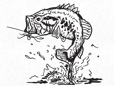 Bass bass design fish fishing illustration largemouth vector
