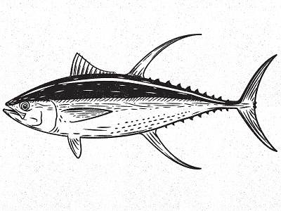 Tuna design fish fishing illustration tuna