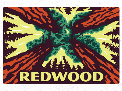 Redwood design illustration national park perspective redwood tree