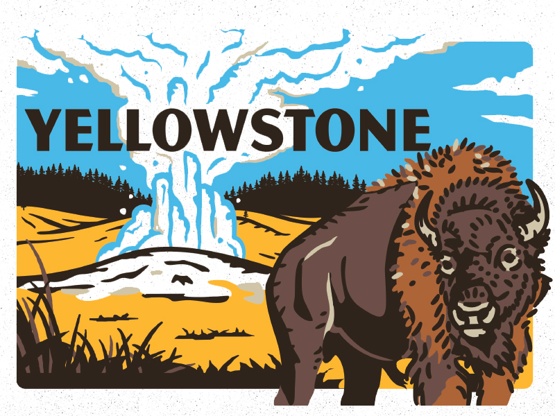 Yellowstone By Michael Bergman On Dribbble