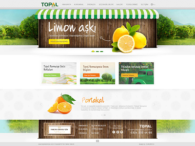 web design citrus design green lemon orange ui web