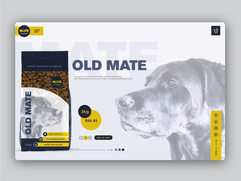 Product page & packaging photoshop illustrator strategy logo design brand web design product packaging pet food package design