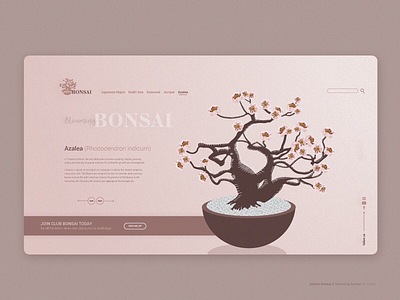 Blooming Bonsai bonsai design illustration indoor plant nature tree vector web design website