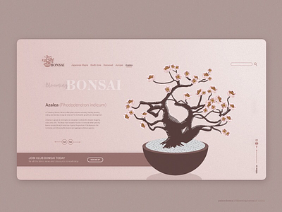 Blooming Bonsai