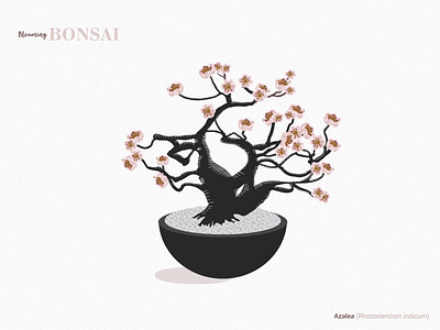 Azalea Bonsai bonsai design drawing flowers illustration illustrator indoor plant nature plants tree vector