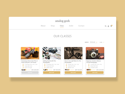 Analog Geek Online Class illustration minimalist online shop online store ui ux web design