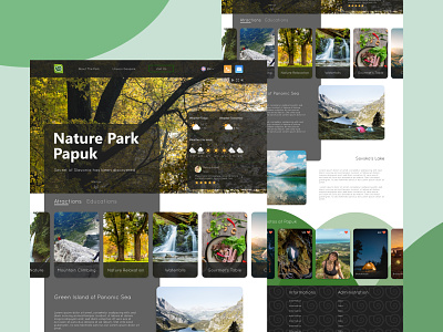 Nature Park branding colorful content content strategy functionality green color human centered information architecture nature nature branding nature park park sensory design uidesign user userinterface ux strategy ux ui ux ui design uxdesign