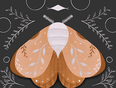 Moth Illustration - 1 butterfly colorful design drawing flat graphic design illustration moth nature procreate