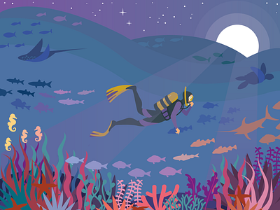 Midnight Dive 🐋 aesthetic australia calm commision design diver fish flat freelance design graphicdesign holiday illustration illustrator ocean seaturtles swim travel vacation vector water