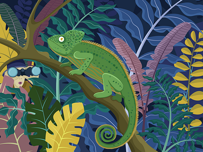 Сhameleon chameleon colors illustration jungle naturalistic vector illustration