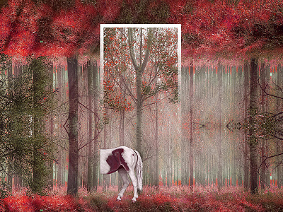 Surreal Life / Lost in Forest branches forest horse leaves life redisign sunrays surreal tree