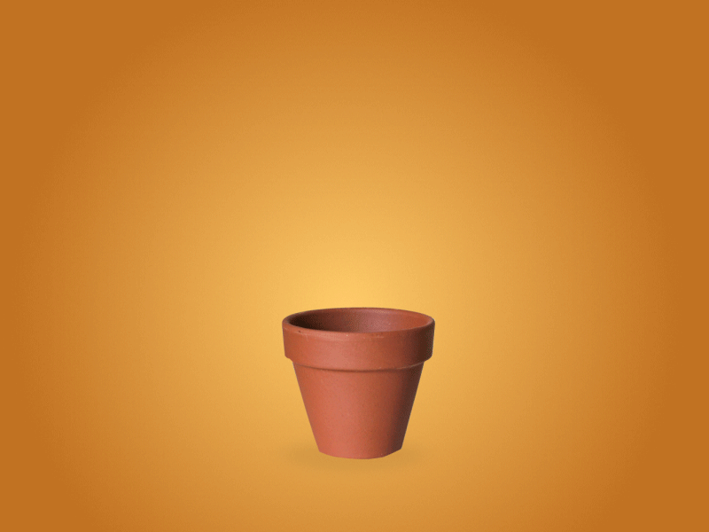 Little Tree having a bit of a Grow ae after effects animation drawing flat gif icon illustration illustrator vector