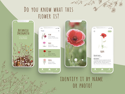 Botanica Incognita App iOS app encyclopedia flower illustration inspiration ios app photo app