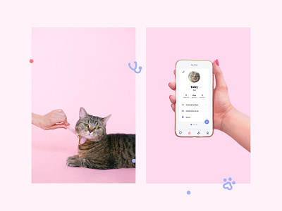 Happy Pet Promo Mock app app design branding design illustration ui