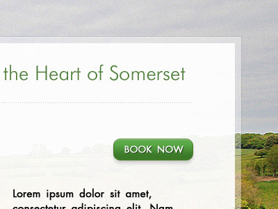 Website for self catering lodges background futura green holiday white