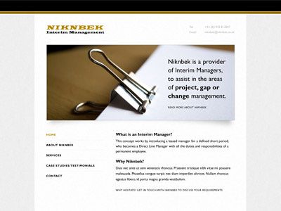 Interim Managers Website