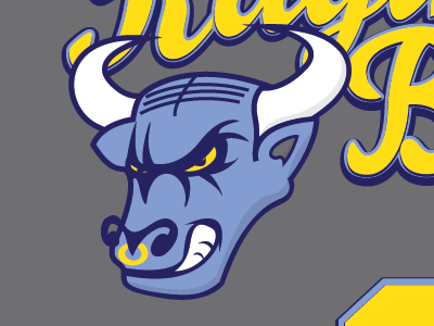 Raging Bull Softball Logo by Denise Salzman on Dribbble