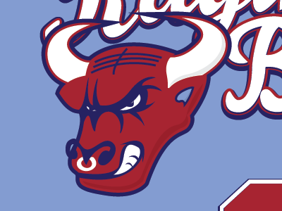 Raging Bull / Synergy Logo bull illustration logo sports