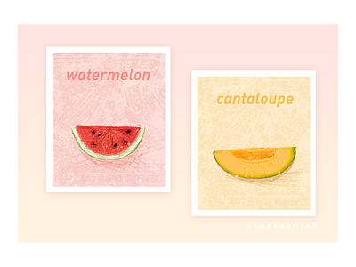 fruit watermelon cantaloupe art cantaloupe color design illustration watermelon