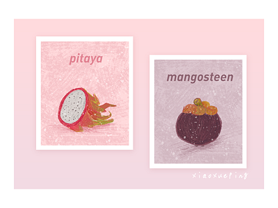 fruit pitaya mangosteen art color design fruit illustration mangosteen pitaya