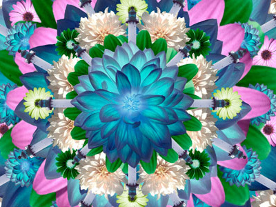 Calais Mandala calais collage flowers mandala photography