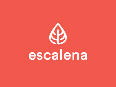 Escalena - Light brand concept