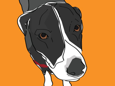 Moxy dog drawing illustration