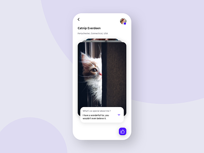 Adopt a cat app app blue cards cat cats dropdown iphone xs like matching minimal mobile purple simple swipe ui ux white