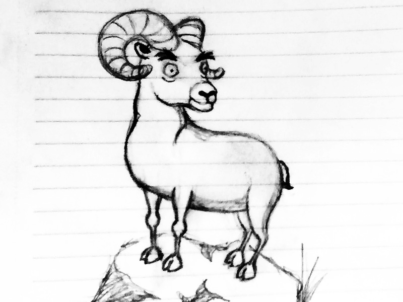 Bighorn Sheep Sketch By Daniel On Dribbble